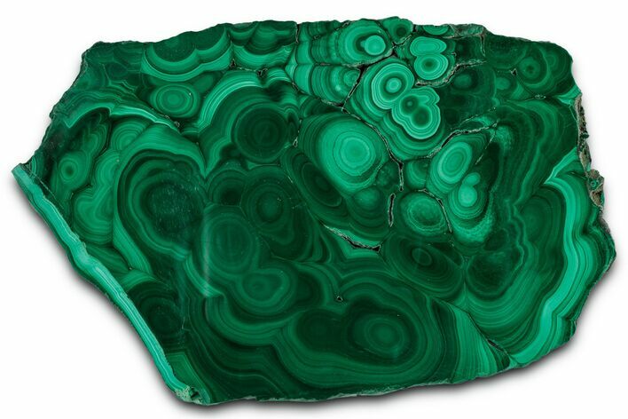 Flowery Polished Malachite Slab - DR Congo #350822